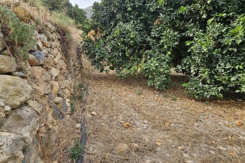 Commercial property for sale in Illar, Almeria, Spain No. 185671 - photo 26