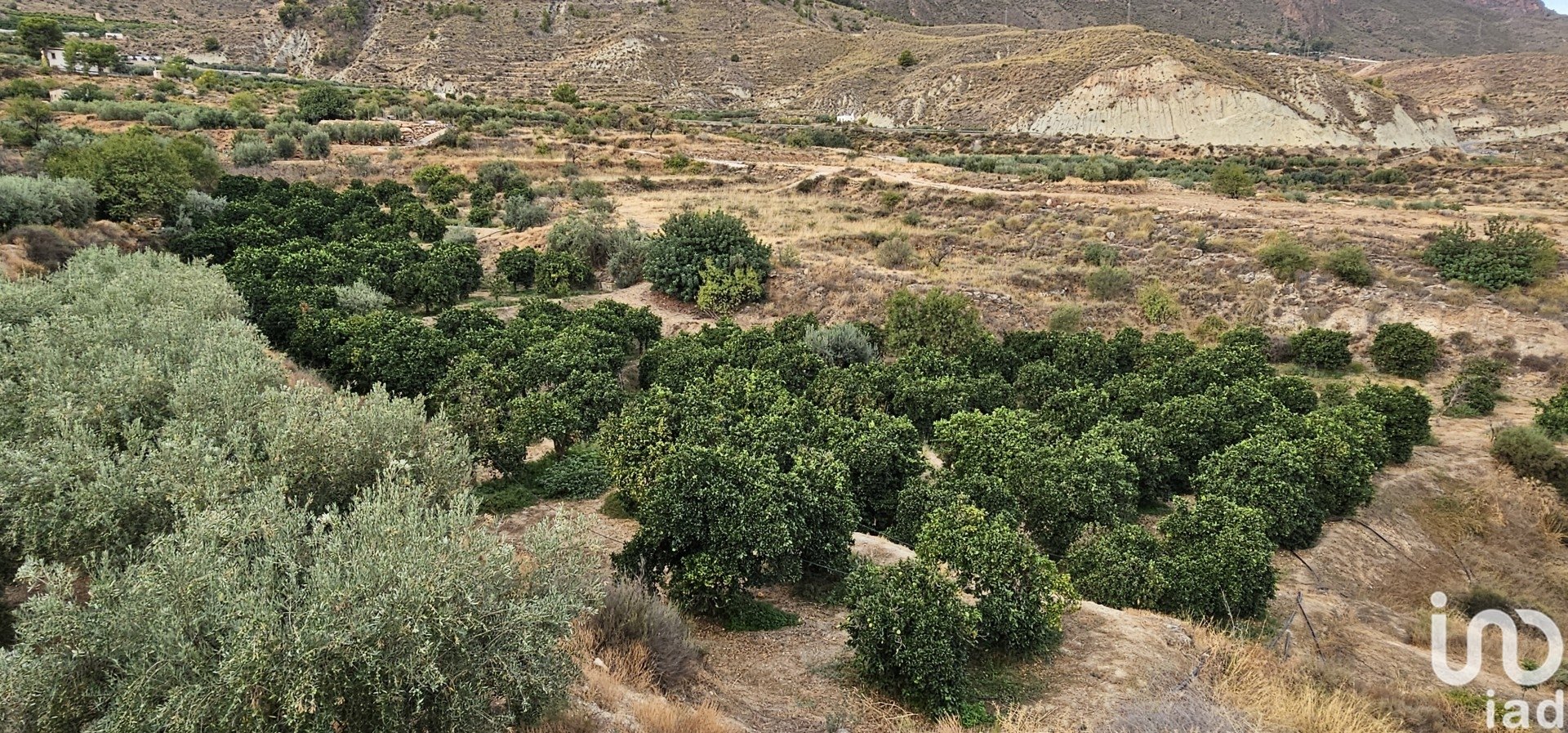 Propiedad comercial en Illar, Almería, España No. 185671