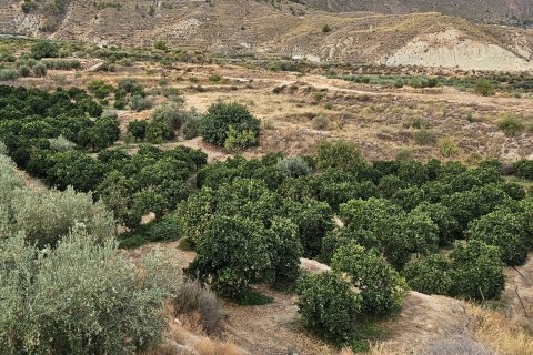 Commercial property for sale in Illar, Almeria, Spain No. 185671 - photo 9