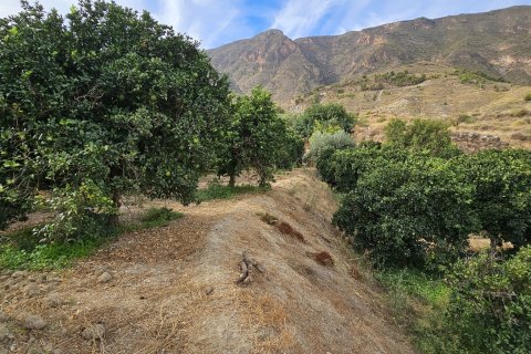 Commercial property for sale in Illar, Almeria, Spain No. 185671 - photo 25