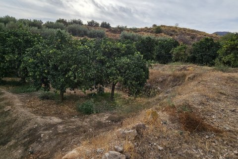 Commercial property for sale in Illar, Almeria, Spain No. 185671 - photo 6