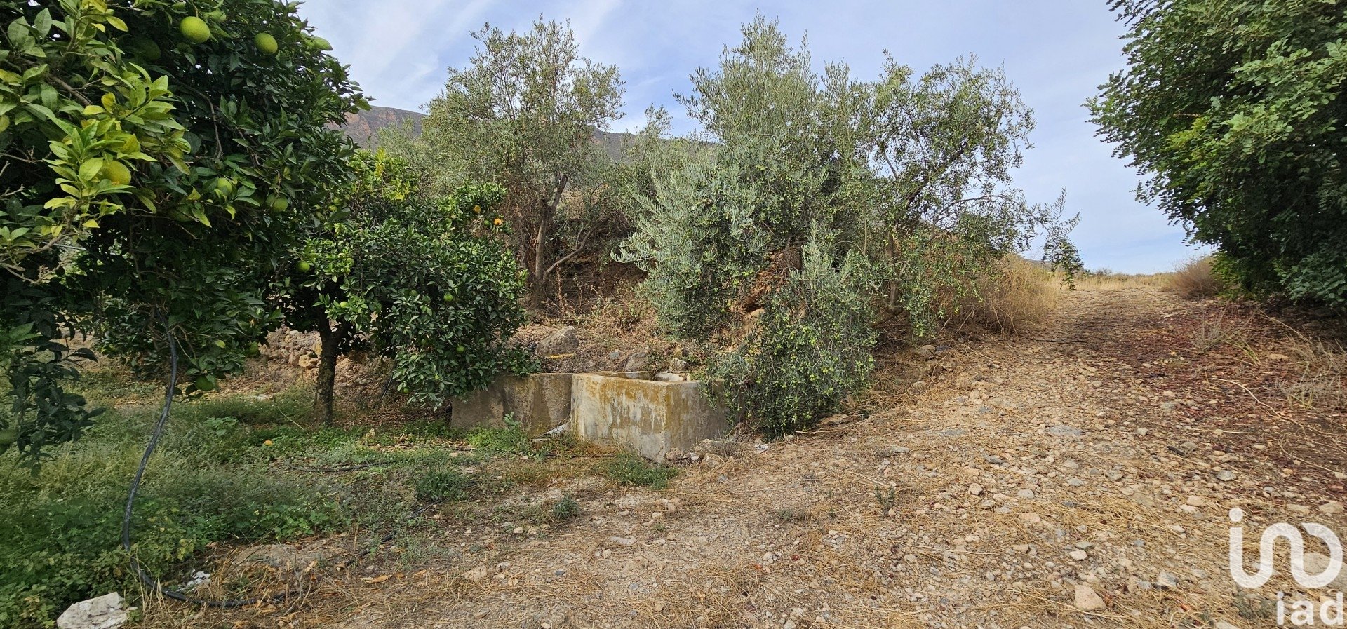Propiedad comercial en Illar, Almería, España No. 185671