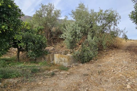 Commercial property for sale in Illar, Almeria, Spain No. 185671 - photo 15
