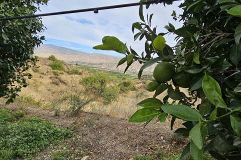Commercial property for sale in Illar, Almeria, Spain No. 185671 - photo 18