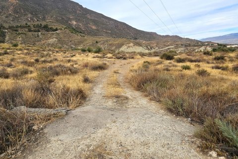 Commercial property for sale in Illar, Almeria, Spain No. 185671 - photo 7