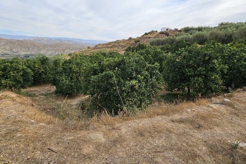 Commercial property for sale in Illar, Almeria, Spain No. 185671 - photo 13