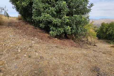 Commercial property for sale in Illar, Almeria, Spain No. 185671 - photo 14