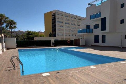 Apartament w Torrevieja, Alicante, Hiszpania 2 sypialnie, 50 mkw. nr 194254 – zdjęcie 29