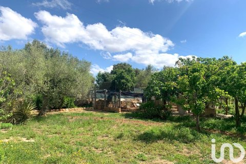 Tontti myytävänä Santa Oliva, Tarragona, Espanja , 8783 m2 No. 153499 - kuva 21