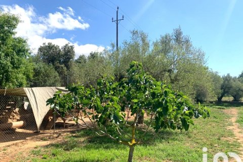 Tontti myytävänä Santa Oliva, Tarragona, Espanja , 8783 m2 No. 153499 - kuva 15