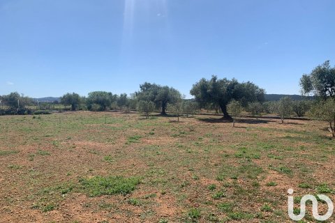 Tontti myytävänä Santa Oliva, Tarragona, Espanja , 8783 m2 No. 153499 - kuva 24