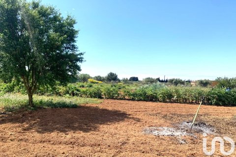 Tontti myytävänä Santa Oliva, Tarragona, Espanja , 8783 m2 No. 153499 - kuva 14