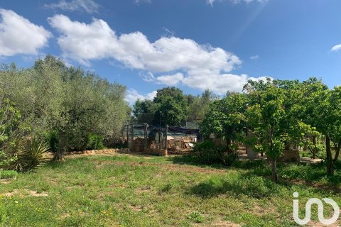 Tontti myytävänä Santa Oliva, Tarragona, Espanja , 8783 m2 No. 153499 - kuva 27