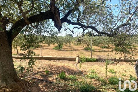 Tontti myytävänä Santa Oliva, Tarragona, Espanja , 8783 m2 No. 153499 - kuva 17