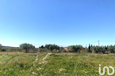 Tontti myytävänä Santa Oliva, Tarragona, Espanja , 8783 m2 No. 153499 - kuva 18