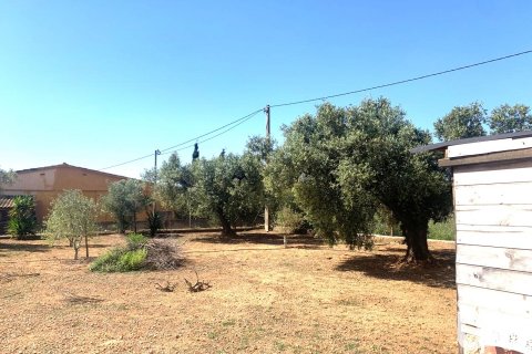 Tontti myytävänä Santa Oliva, Tarragona, Espanja , 8783 m2 No. 153499 - kuva 19