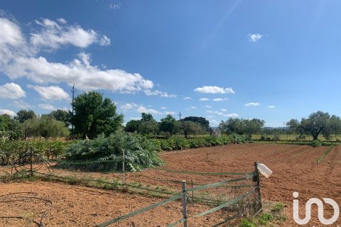 Tontti myytävänä Santa Oliva, Tarragona, Espanja , 8783 m2 No. 153499 - kuva 25