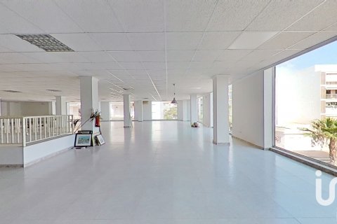 Komerciāls īpašums pārdošanā Oropesa del Mar, Castellon, Spānijā 1922 m2 Nr. 153503 - attēls 15