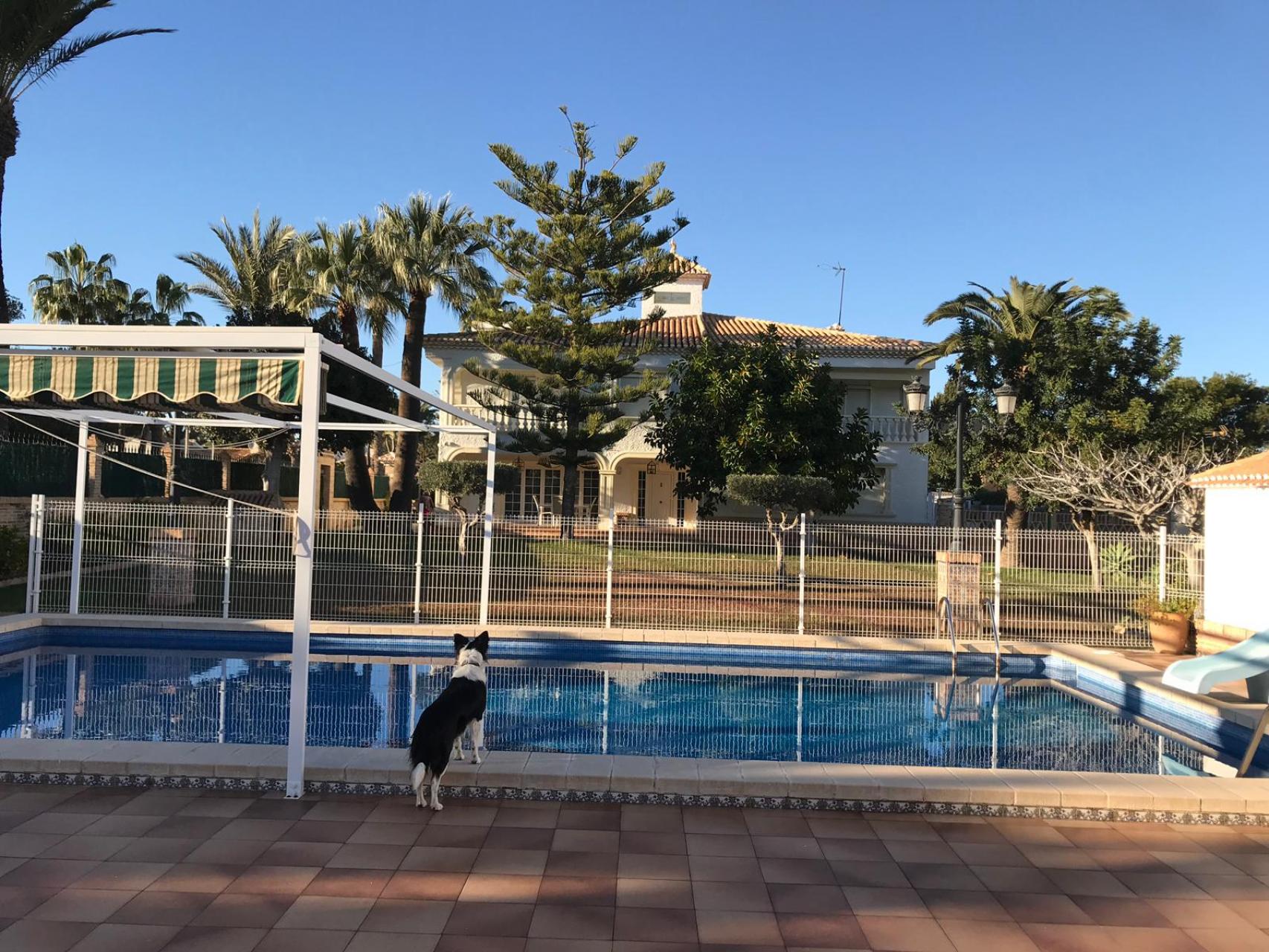 Huvila Alicante, Espanja 6 makuuhuonetta, 545 m2 No. 142956