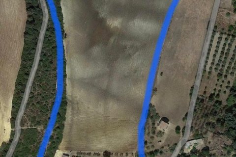 Terreno in vendita a Arcos de la Frontera, Cadiz, Spagna 49000 mq. N° 153781 - foto 7