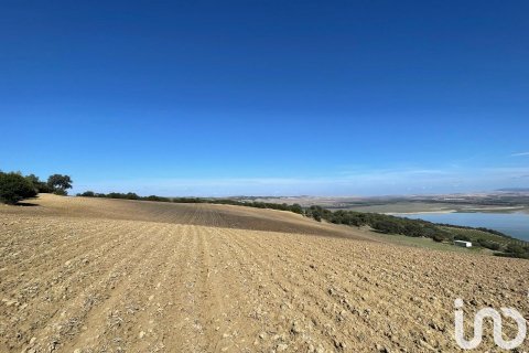 Terreno in vendita a Arcos de la Frontera, Cadiz, Spagna 49000 mq. N° 153781 - foto 8