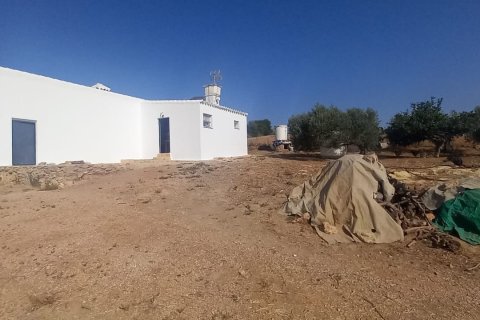Terreno in vendita a Arcos de la Frontera, Cadiz, Spagna 49000 mq. N° 153781 - foto 2