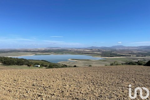 Terreno in vendita a Arcos de la Frontera, Cadiz, Spagna 49000 mq. N° 153781 - foto 5