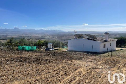 Terreno in vendita a Arcos de la Frontera, Cadiz, Spagna 49000 mq. N° 153781 - foto 3