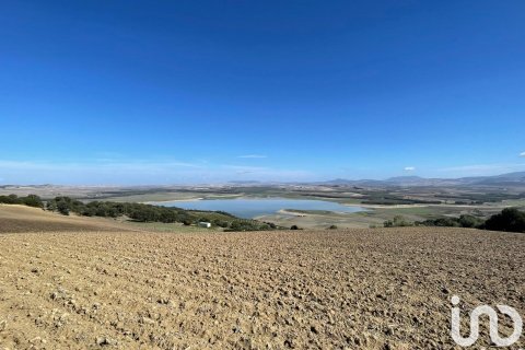 Terreno in vendita a Arcos de la Frontera, Cadiz, Spagna 49000 mq. N° 153781 - foto 9