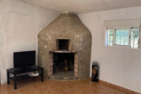 Terreno in vendita a Arcos de la Frontera, Cadiz, Spagna 49000 mq. N° 153781 - foto 4