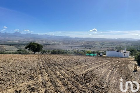 Terreno in vendita a Arcos de la Frontera, Cadiz, Spagna 49000 mq. N° 153781 - foto 6