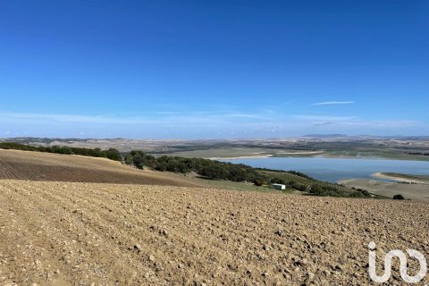 Земельный участок в Аркос-де-ла-Фронтера, Кадис, Испания 49000м2 №153781