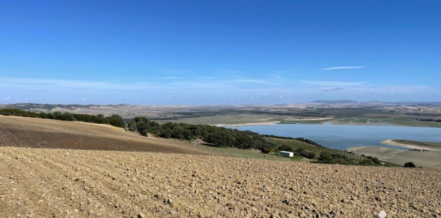 Terreno a Arcos de la Frontera, Cadiz, Spagna 49000 mq. N° 153781