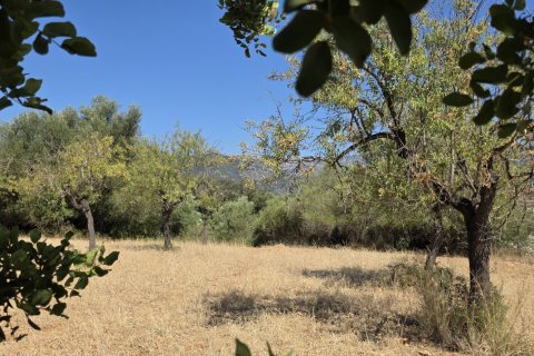 Zemes gabals pārdošanā Selva, Mallorca, Spānijā 14532 m2 Nr. 188083 - attēls 17