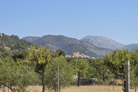 Zemes gabals pārdošanā Selva, Mallorca, Spānijā 14532 m2 Nr. 188083 - attēls 14