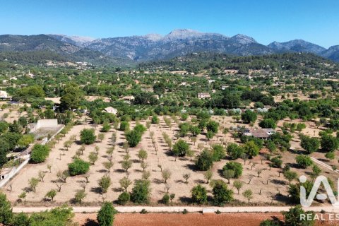 Zemes gabals Selva, Mallorca, Spānijā 14532 m2 Nr. 188083