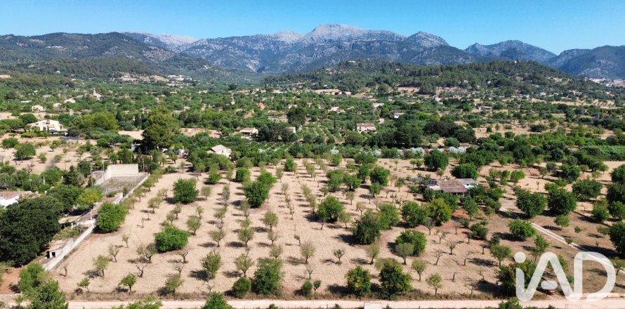 Zemes gabals Selva, Mallorca, Spānijā 14532 m2 Nr. 188083
