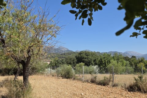 Zemes gabals pārdošanā Selva, Mallorca, Spānijā 14532 m2 Nr. 188083 - attēls 18