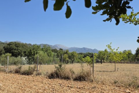 Zemes gabals pārdošanā Selva, Mallorca, Spānijā 14532 m2 Nr. 188083 - attēls 19