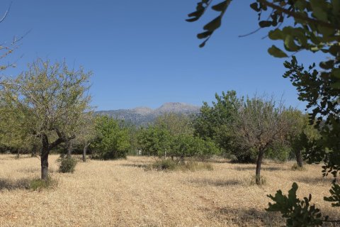 Zemes gabals pārdošanā Selva, Mallorca, Spānijā 14532 m2 Nr. 188083 - attēls 11