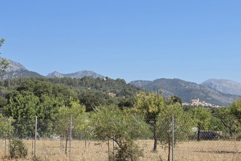 Zemes gabals pārdošanā Selva, Mallorca, Spānijā 14532 m2 Nr. 188083 - attēls 13