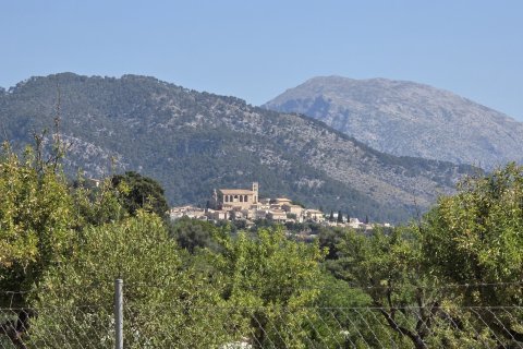 Zemes gabals pārdošanā Selva, Mallorca, Spānijā 14532 m2 Nr. 188083 - attēls 2