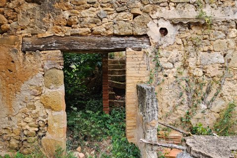 Продажа земельного участка в Корнелья дель Терри, Герона, Испания 3500м2 №188084 - фото 4
