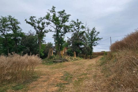 Продажа земельного участка в Корнелья дель Терри, Герона, Испания 3500м2 №188084 - фото 13