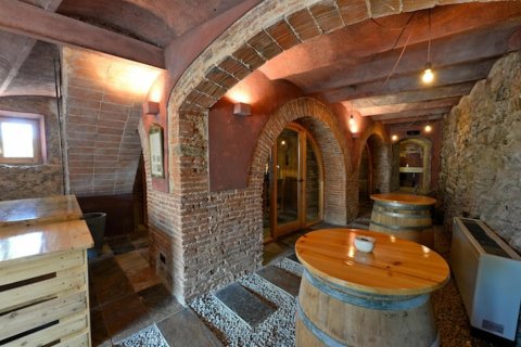 House zum Verkauf in Vallgorguina, Barcelona, Spanien 15 Schlafzimmer, Nr. 141148 - Foto 21