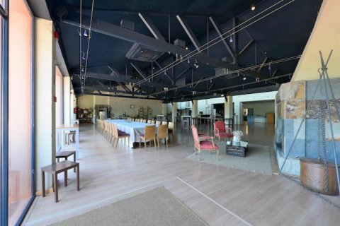 House zum Verkauf in Vallgorguina, Barcelona, Spanien 15 Schlafzimmer, Nr. 141148 - Foto 27