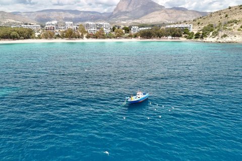 Takvåning till salu i Villajoyosa, Alicante, Spanien 3 sovrum, 226 kvm. Nr. 168014 - foto 2