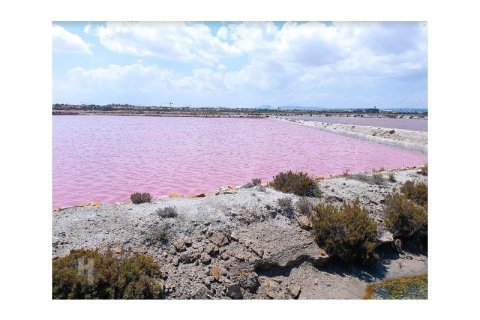 Huoneisto myytävänä San Pedro del Pinatar, Murcia, Espanja, 2 makuuhuonetta,  No. 161742 - kuva 13