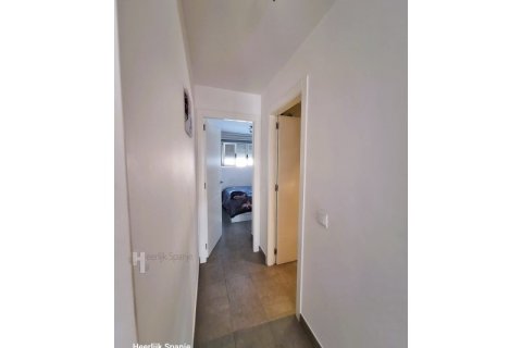 Huoneisto myytävänä San Pedro del Pinatar, Murcia, Espanja, 2 makuuhuonetta, No. 161742 - kuva 13