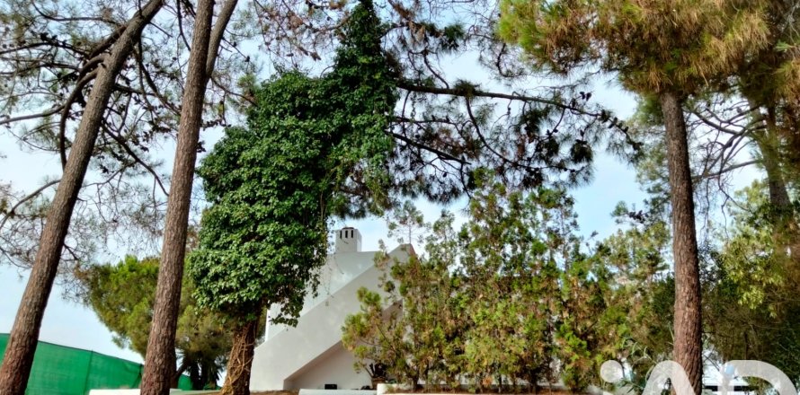 Talo Lepe, Huelva, Espanja 4 makuuhuonetta, 110 m2 No. 152341